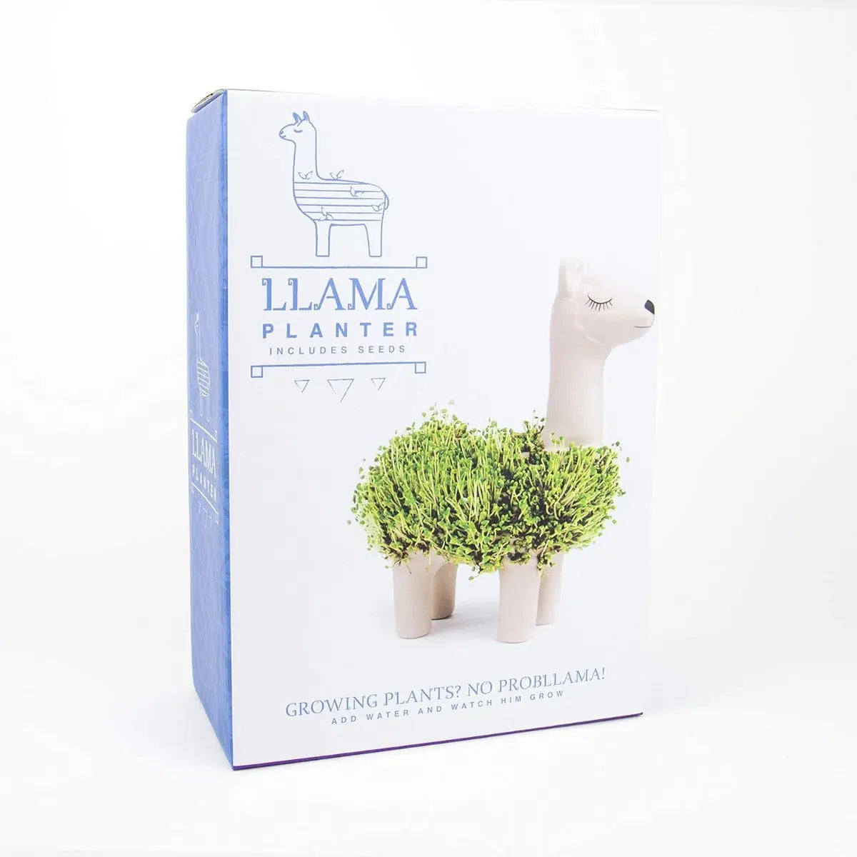 Lama-Blumentopf Mit Samen Zum Pflanzen von Gift Republic