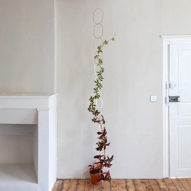 Rankhilfe Kette Gold von Botanopia