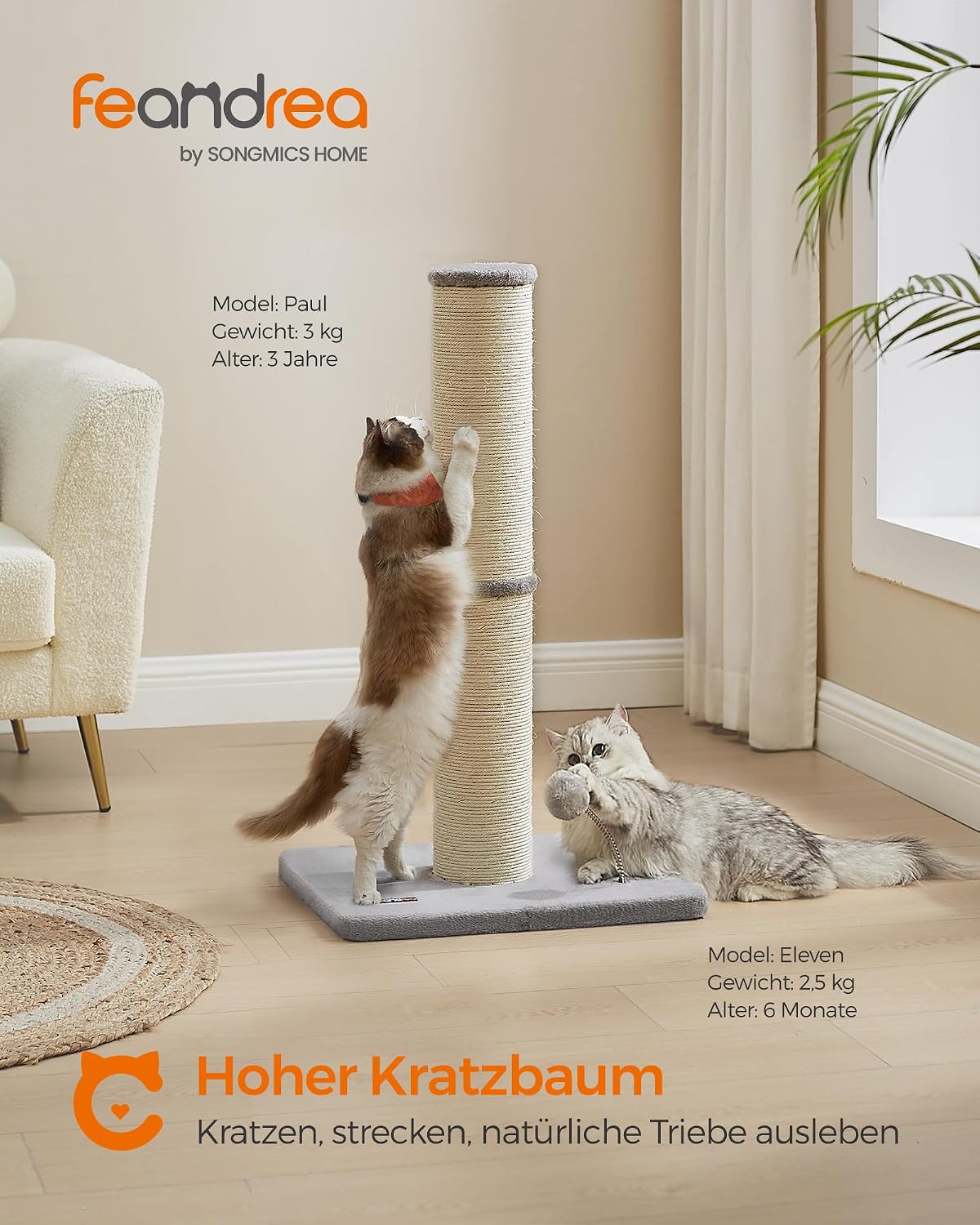 Kratzsäule XL 85 cm dicker Stamm für große Katzen Sisal von guteszeug.ch