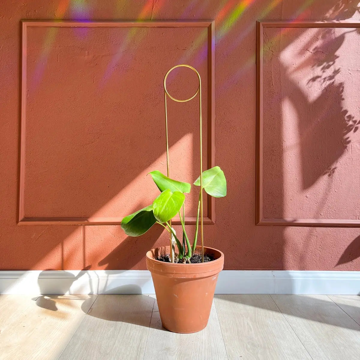 Rankhilfe Pin Gold von Botanopia
