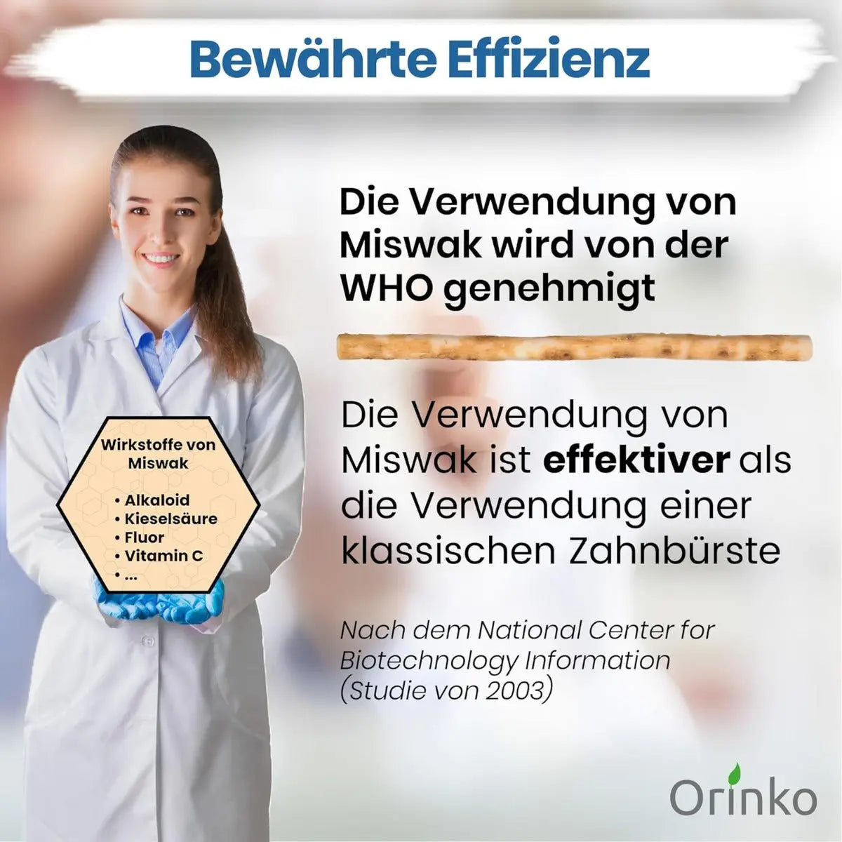 Miswak Natürliche Zahnbürste 18er-Pack von Orinko