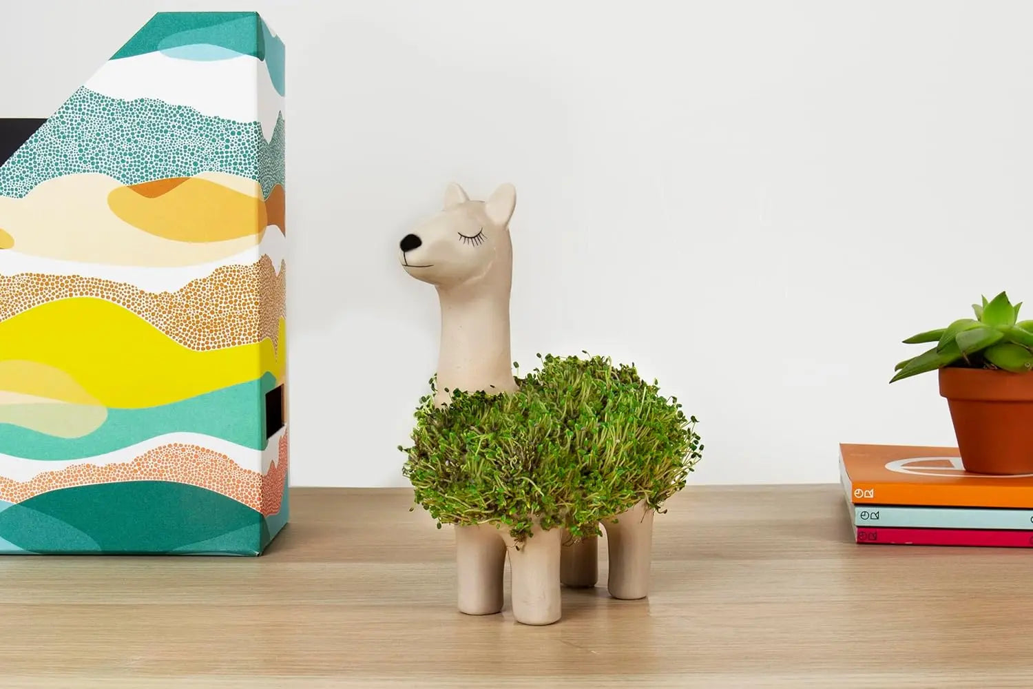 Lama-Blumentopf Mit Samen Zum Pflanzen von Gift Republic