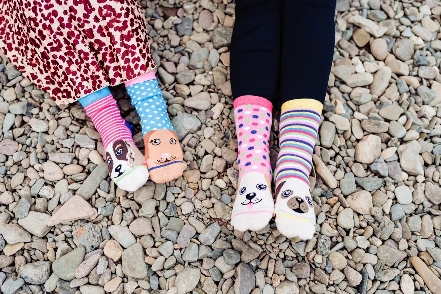 Einzelne Socken im 6er Pack, PAWSOME Bunte Hunde, Gr. 37-42, mit Geschenkbox von guteszeug.ch