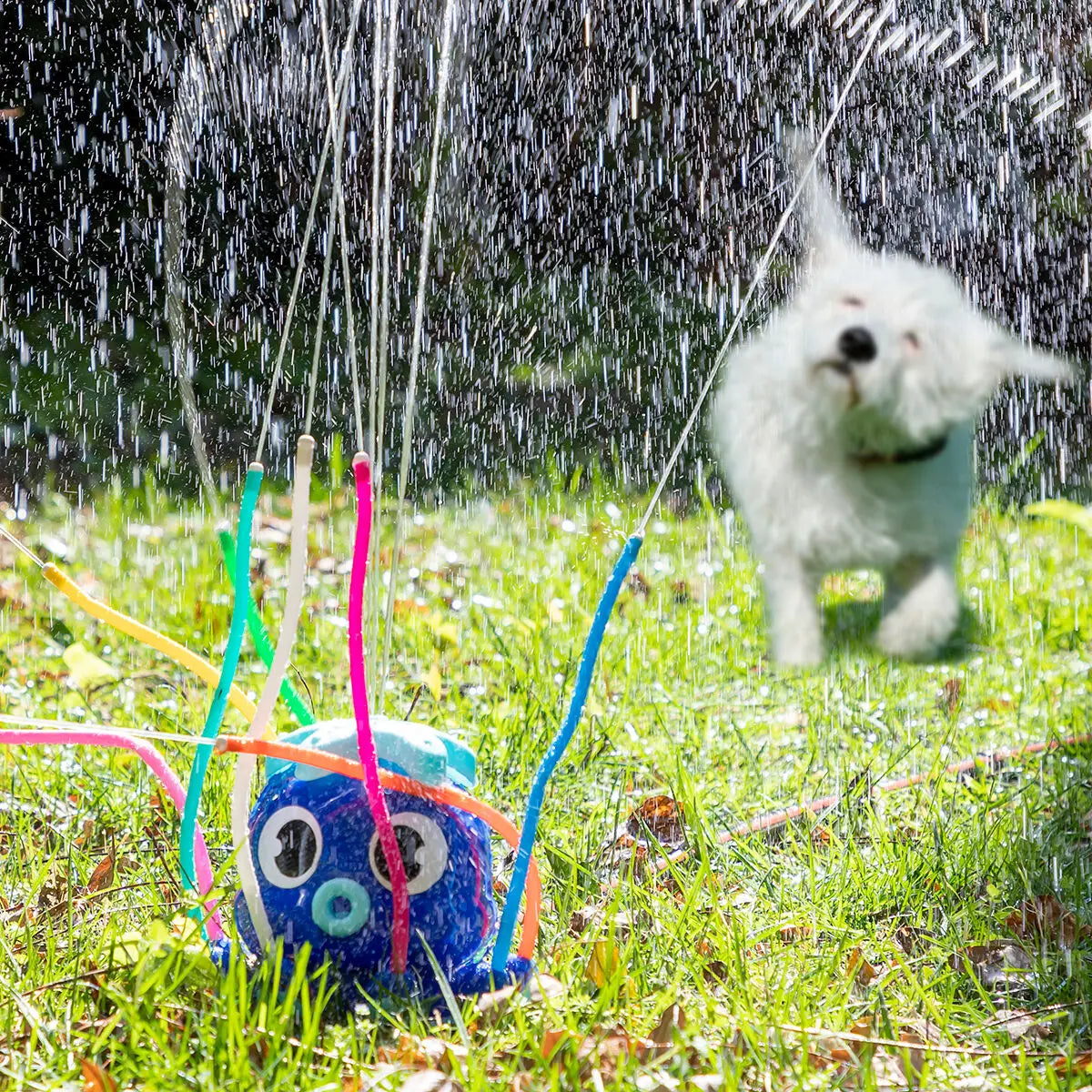 Wassersprinklerspielzeug Octodrop von InnovaGoods