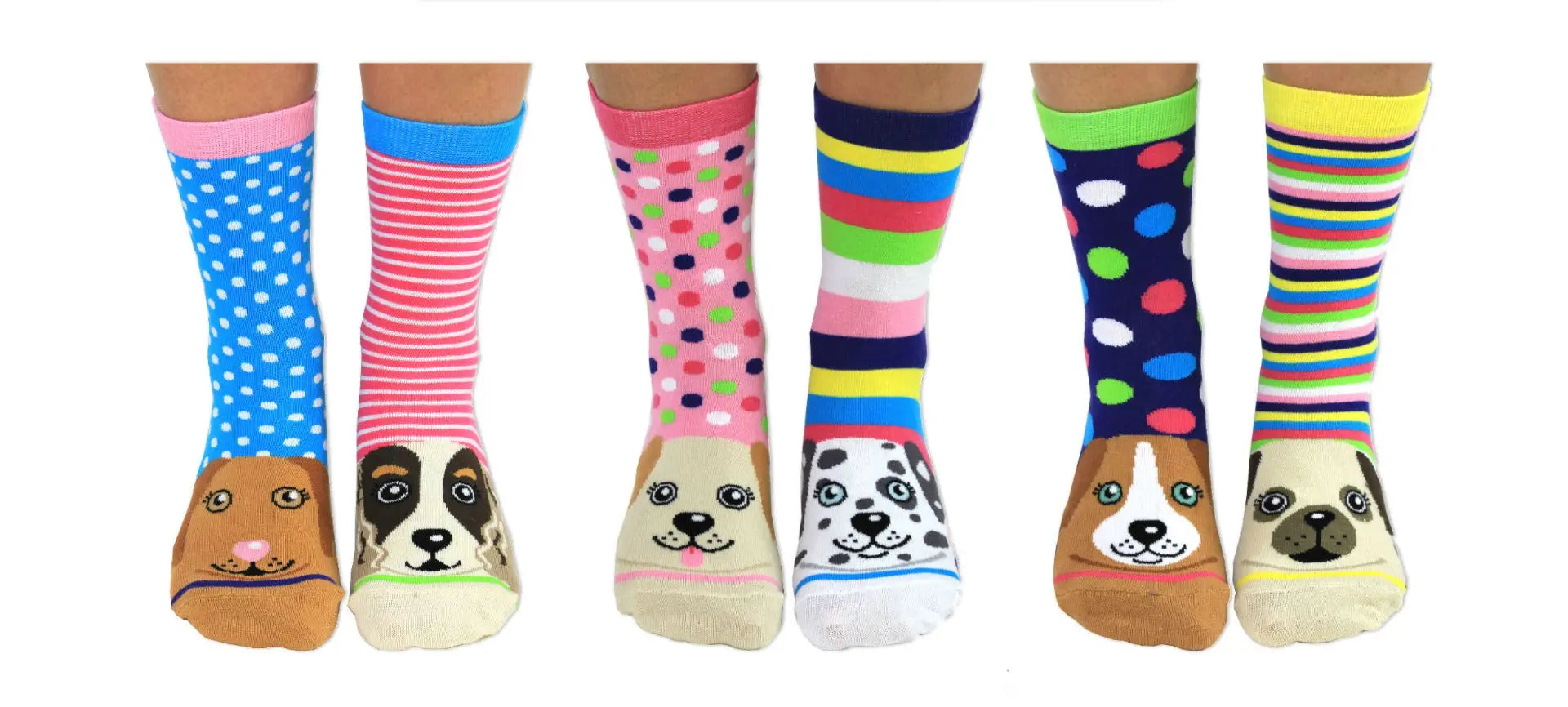 Einzelne Socken im 6er Pack, PAWSOME Bunte Hunde, Gr. 37-42, mit Geschenkbox von guteszeug.ch
