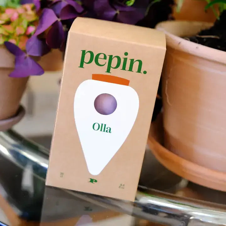 Bewässerungskegel Olla Lila-Grüne Streifen von Pepin