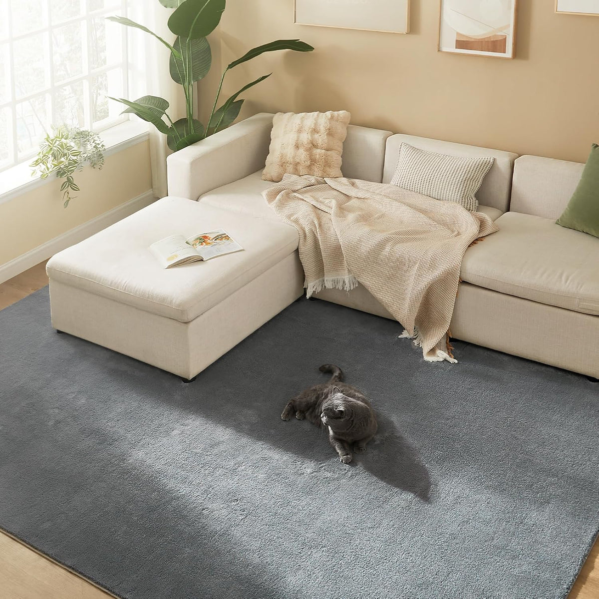 Kurzflor-Teppich 200x290 cm Taubengrau rutschfest von Songmics