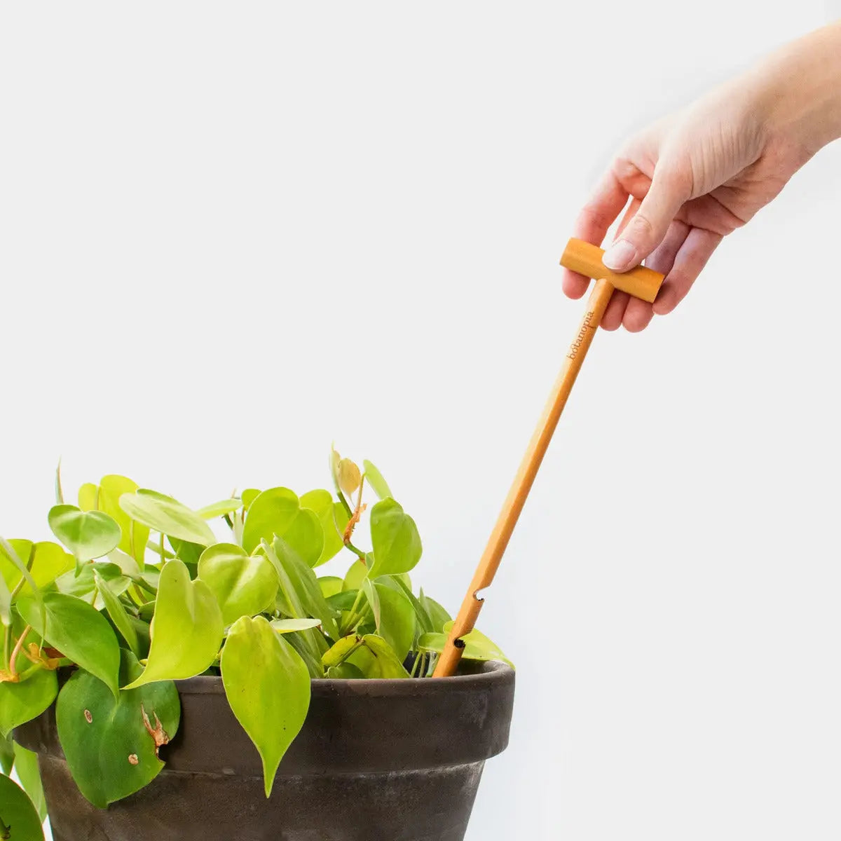 Bodentester Feuchtigkeit von Botanopia