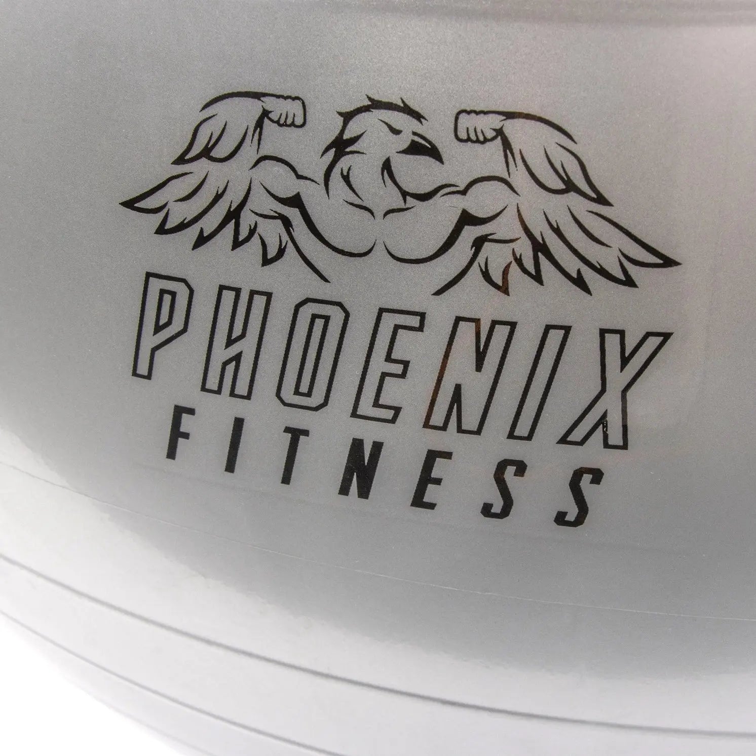 Gymnastikball Mit Luftpumpe Silber von Phoenix Fitness