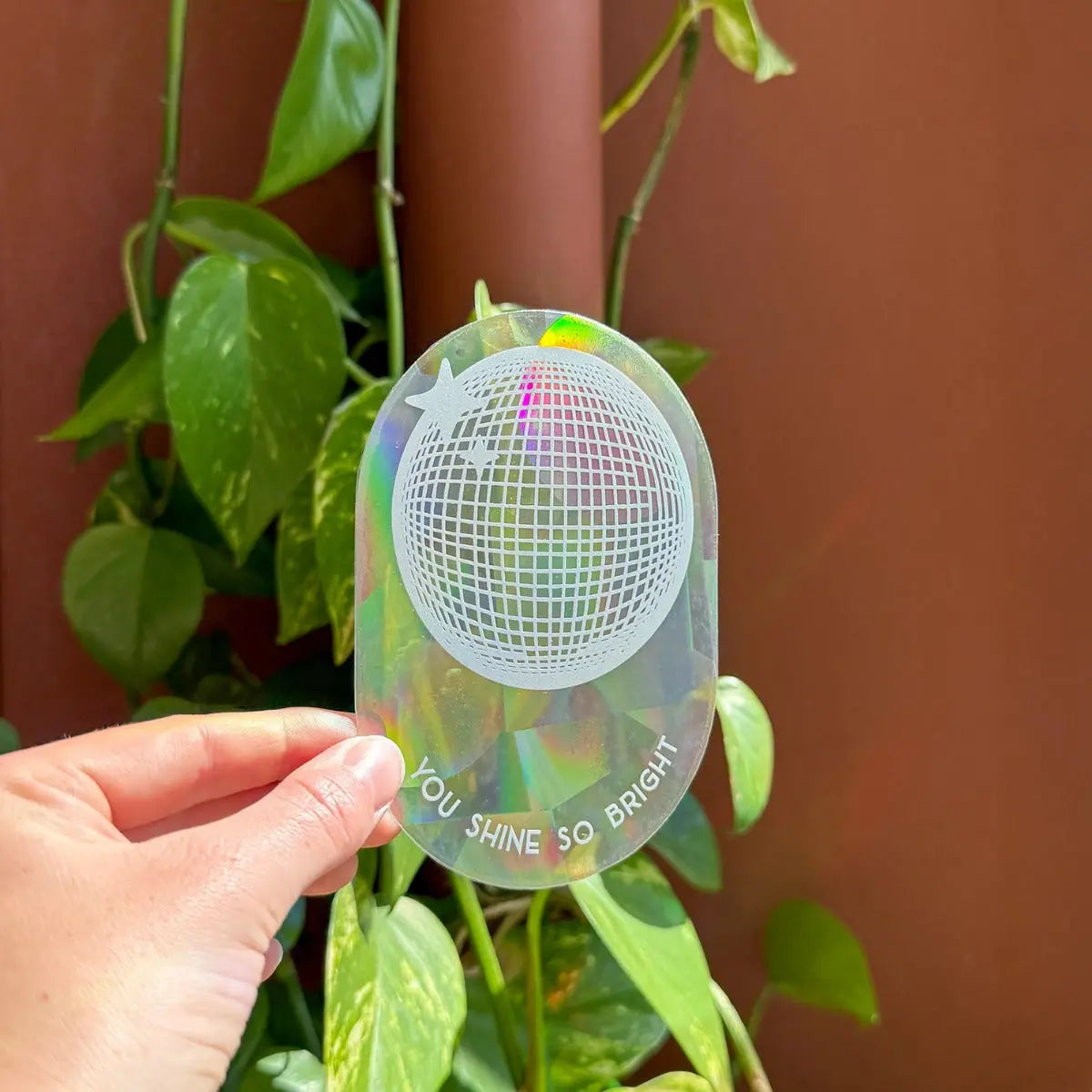Sonnenfänger Fenstersticker You shine so bright von Botanopia