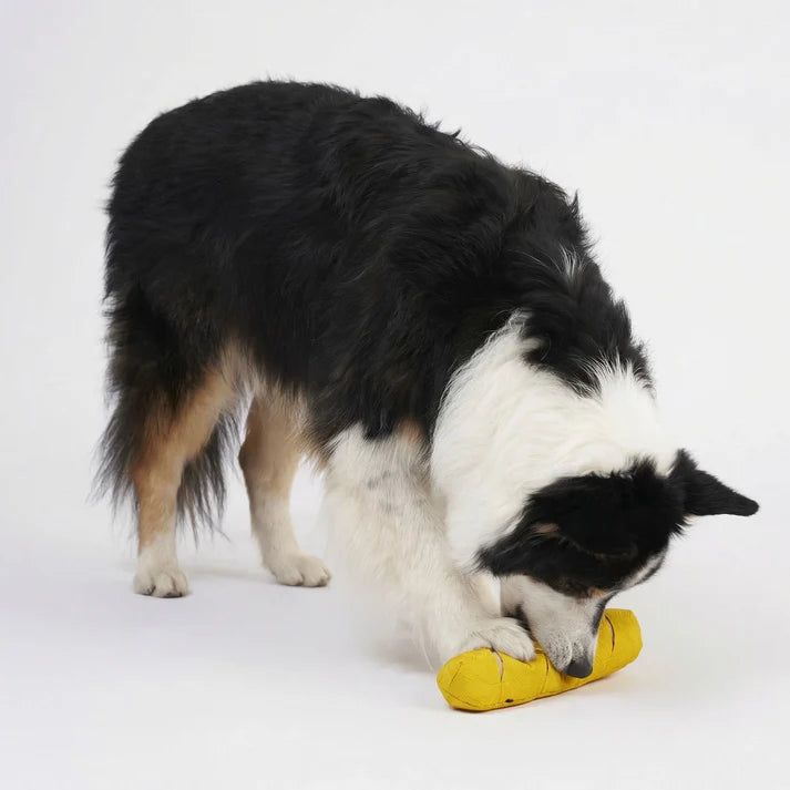 Schnüffelspielzeug Baguette Gross von Redoggo