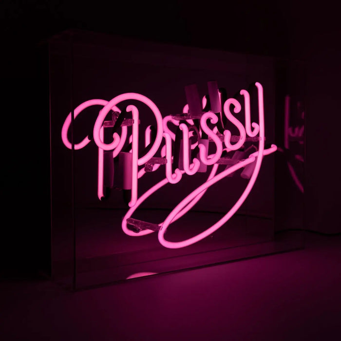 Grosse Acryl-Box Neon - "Pussy" rosa von Locomocean