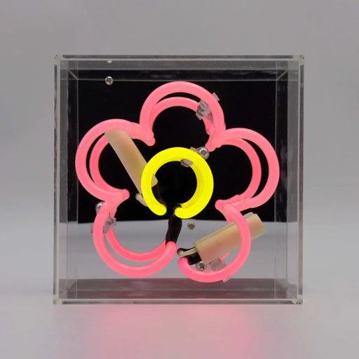 Mini Acryl-Box Neon - Margritli rosa von Locomocean
