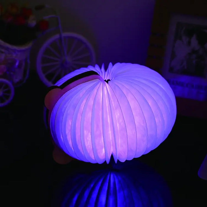 Nachtlampe Kürbis von Happy Lamp