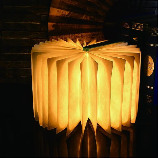 R-Lampe Maple von Happy Lamp
