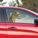 Ride With T-Rex - Fenstersticker von Ride With