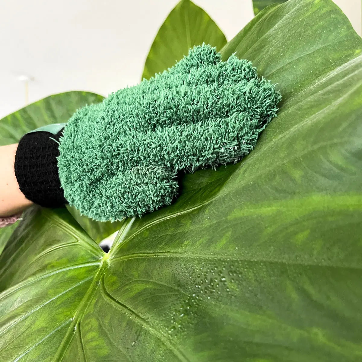Staubhandschuhe für Pflanzen von Botanopia