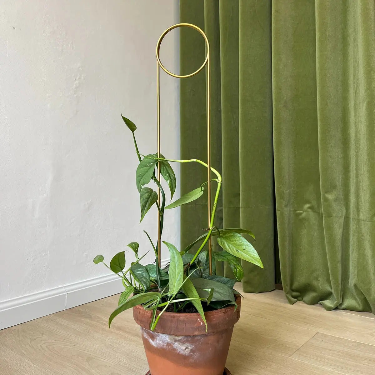 Rankhilfe Pin Gold von Botanopia