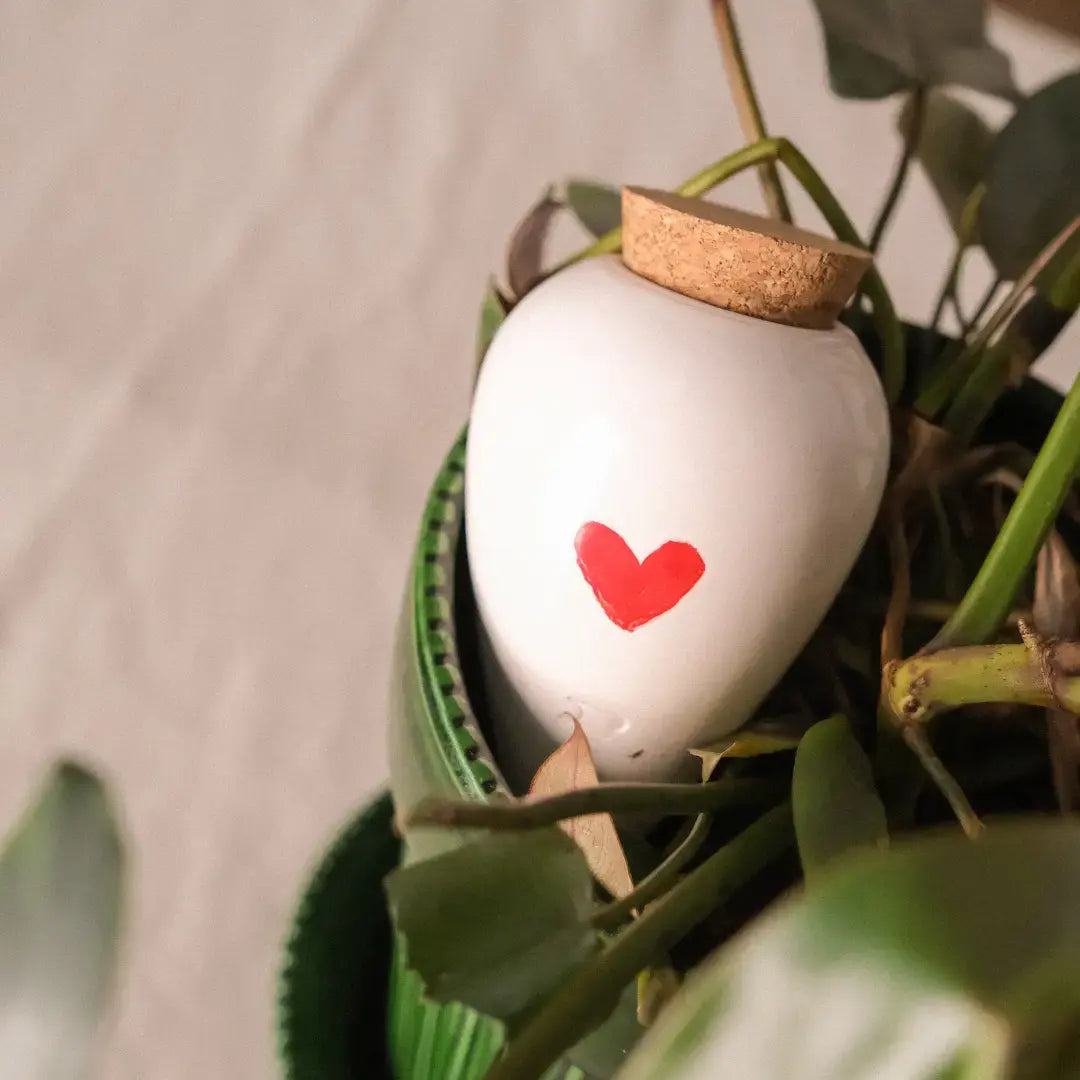 Bewässerungskegel Olla Herz von Pepin