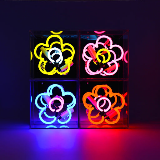 Mini Acryl-Box Neon - Margritli rosa von Locomocean