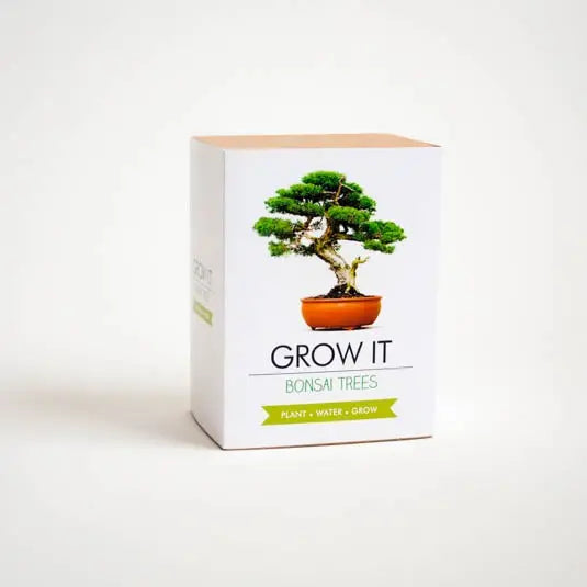 Bonsai-Bäume Selber Züchten - Grow It von Gift Republic
