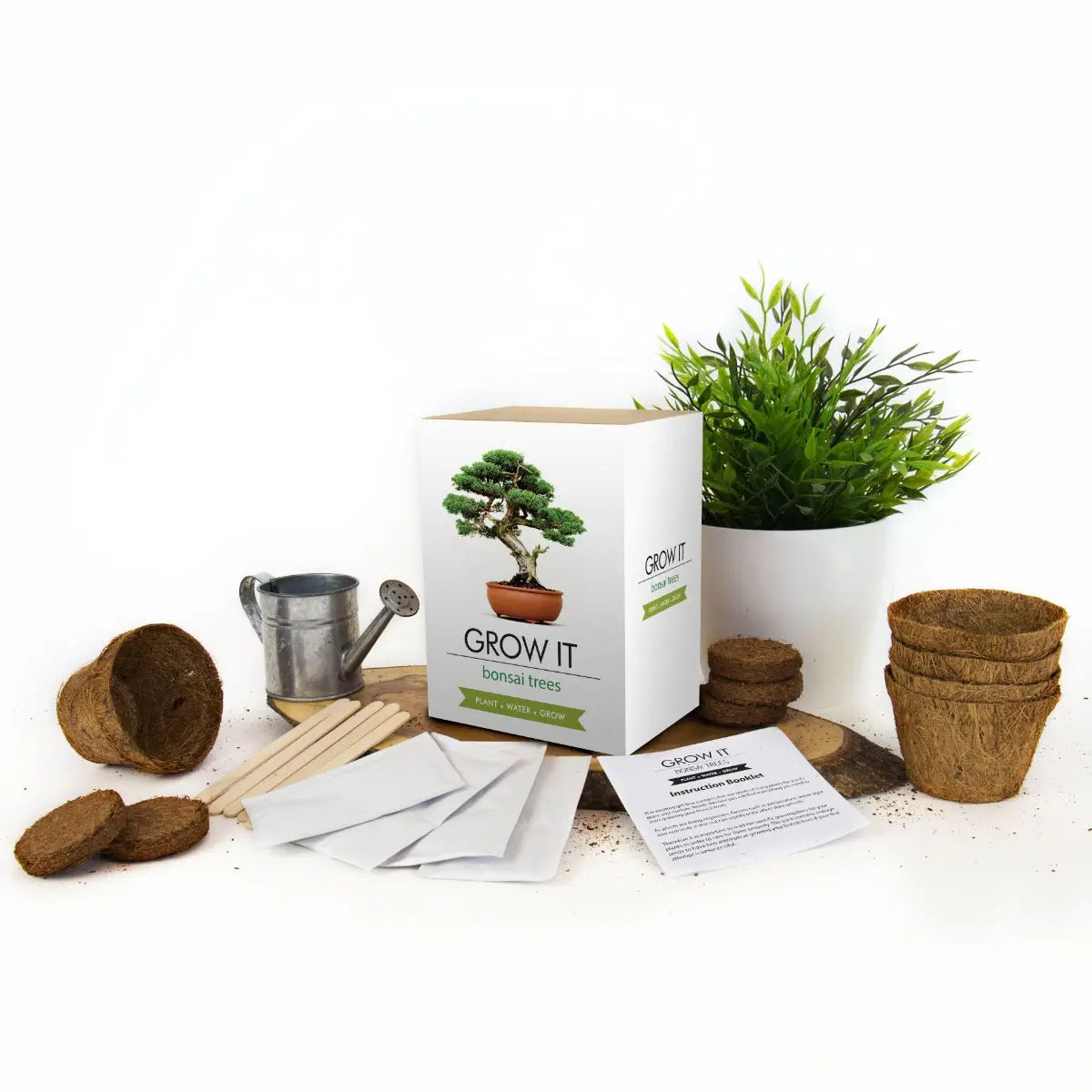 Bonsai-Bäume Selber Züchten - Grow It von Gift Republic