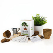 Bonsai-Bäume Selber Züchten - Grow It von Gift Republic