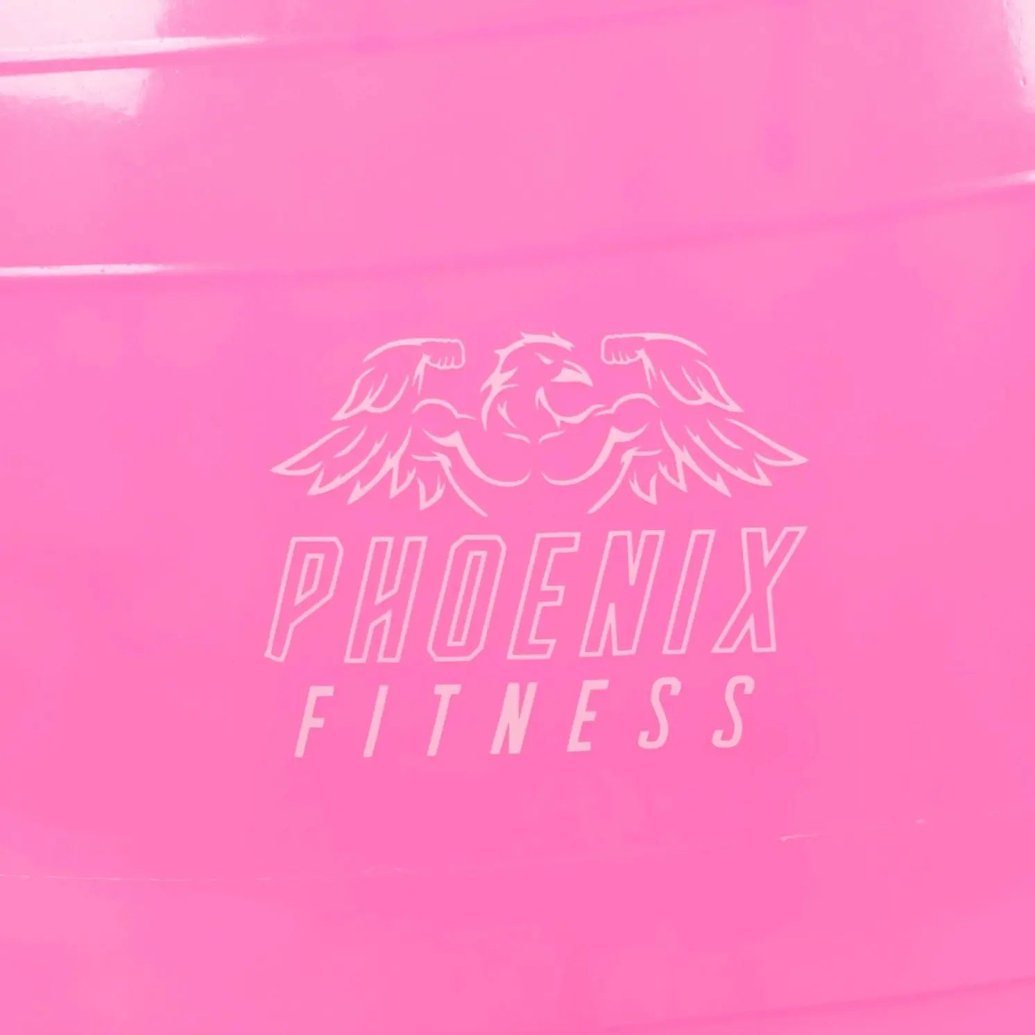 Gymnastikball Mit Luftpumpe Pink von Phoenix Fitness