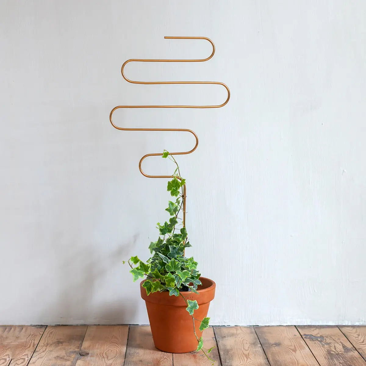 Rankhilfe Squiggle Gold von Botanopia