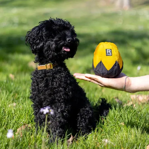 Aktivspielzeug Schnüffelei von Redoggo
