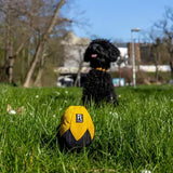 Aktivspielzeug Schnüffelei von Redoggo