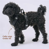Hundegeschirr Schwarz XS von Redoggo