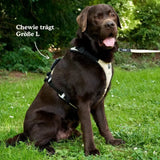 Hundegeschirr Schwarz L von Redoggo