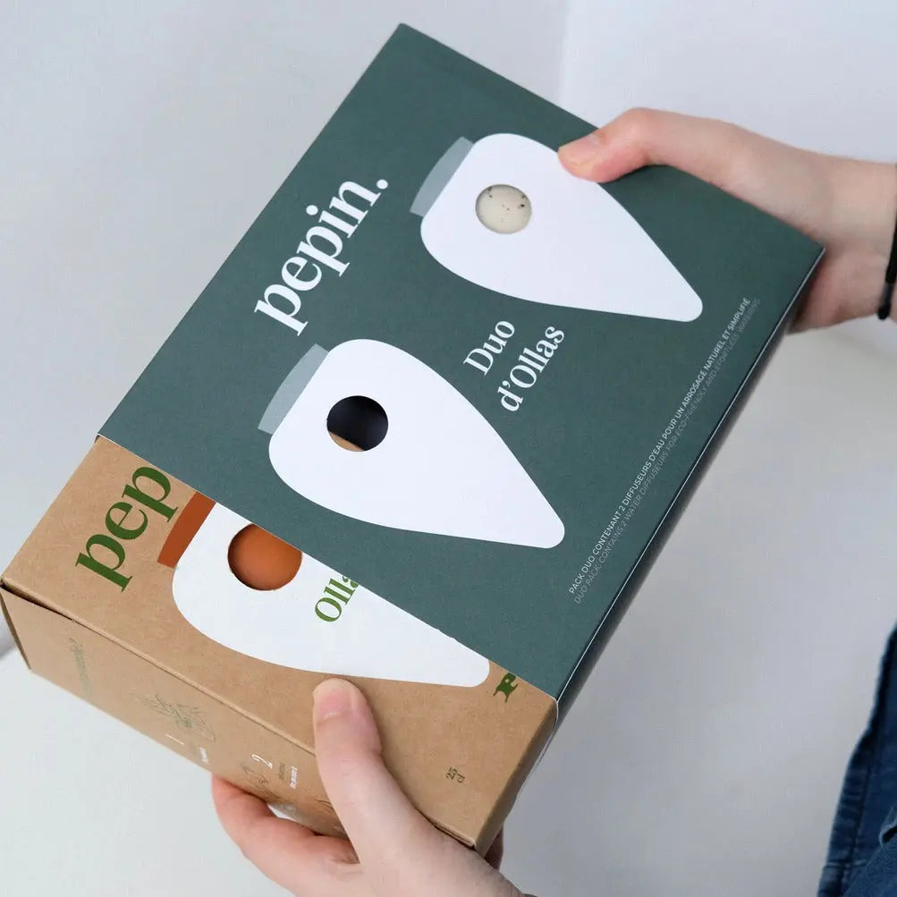 Bewässerungskegel Olla Terrakotta (2er Set) von Pepin