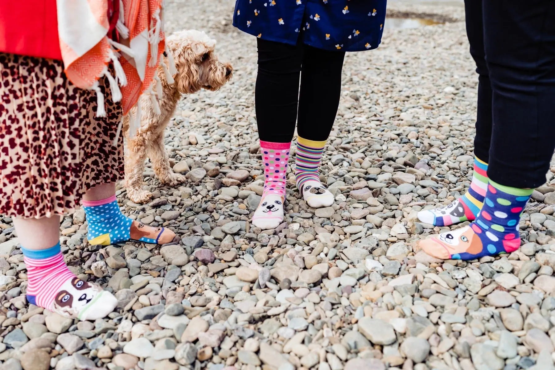 Einzelne Socken im 6er Pack, PAWSOME Bunte Hunde, Gr. 37-42, mit Geschenkbox von guteszeug.ch