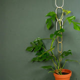 Rankhilfe Kette Gold von Botanopia