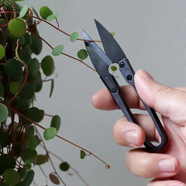 Bonsai Baumschere The Good Snips von Botanopia
