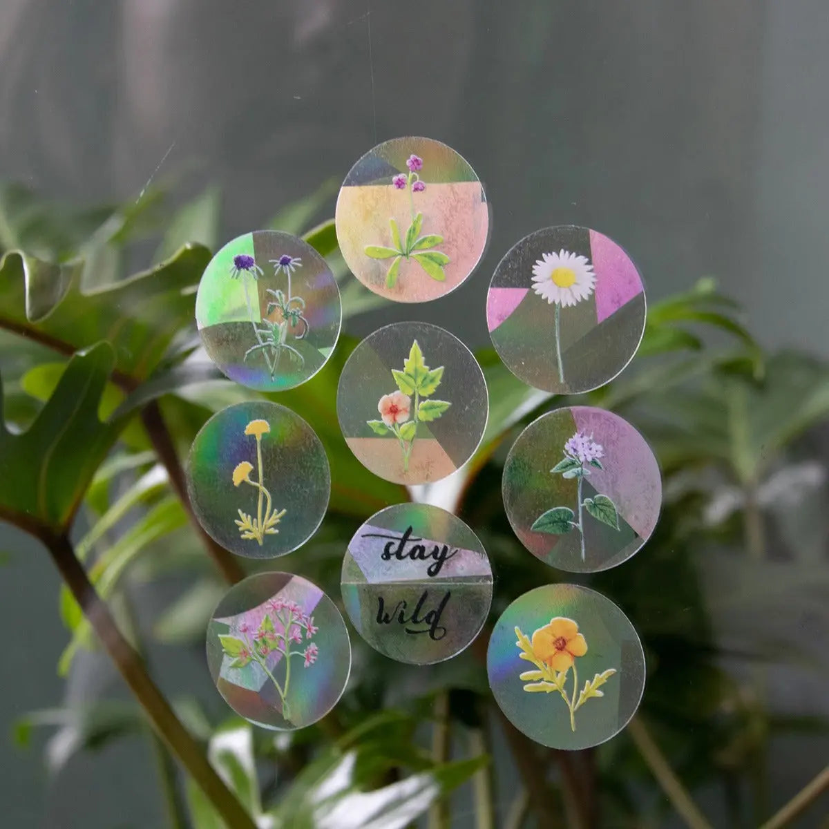 Sonnenfänger 8 mini Fenstersticker Stay Wild von guteszeug.ch