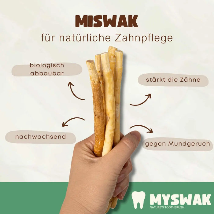 Miswak Natürliche Zahnbürste Zahnputzholz 6 Stück von MYSWAK