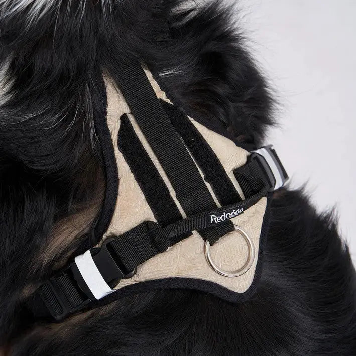 Hundegeschirr Schwarz M von Redoggo