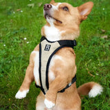 Hundegeschirr Schwarz S von Redoggo