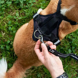 Hundegeschirr Schwarz S von Redoggo