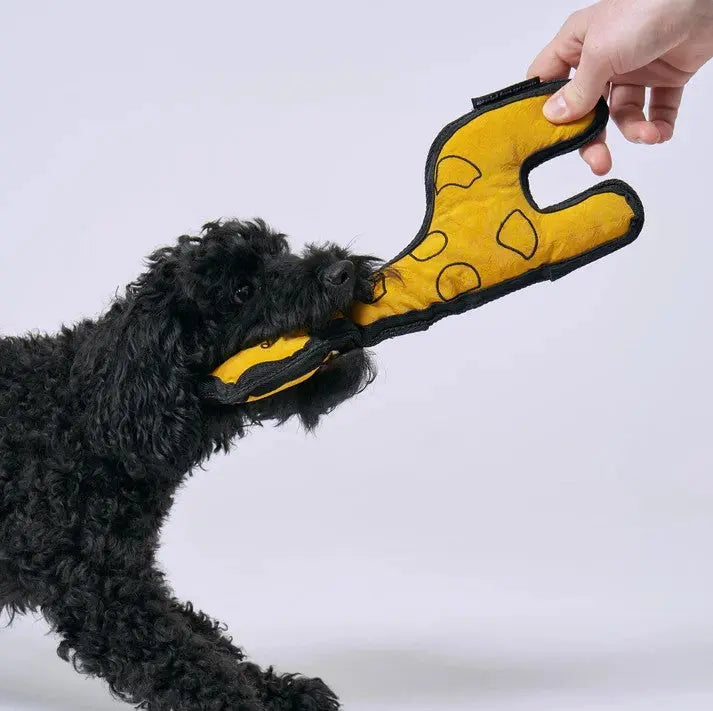 Aktivspielzeug Giraffe von Redoggo