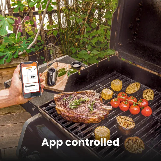 Meat it plus 2.0 Bluetooth Grillthermometer von Mastrad