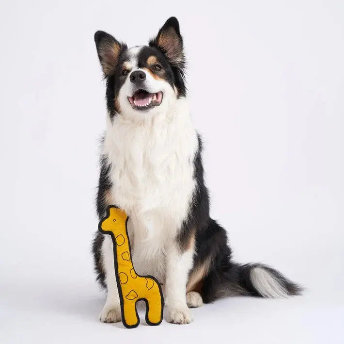 Aktivspielzeug Giraffe von Redoggo