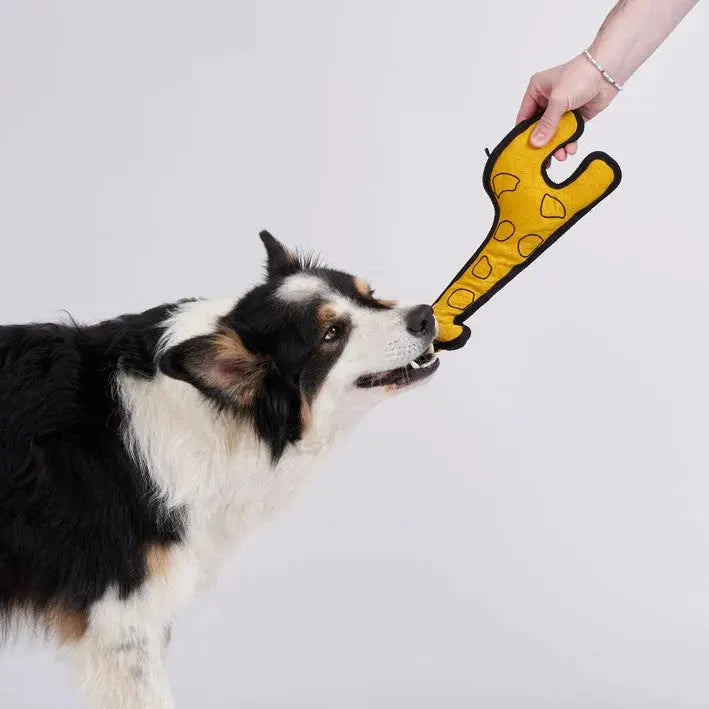 Aktivspielzeug Giraffe von Redoggo