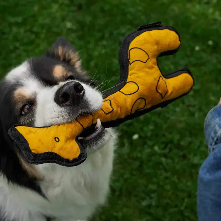 Aktivspielzeug Giraffe von Redoggo