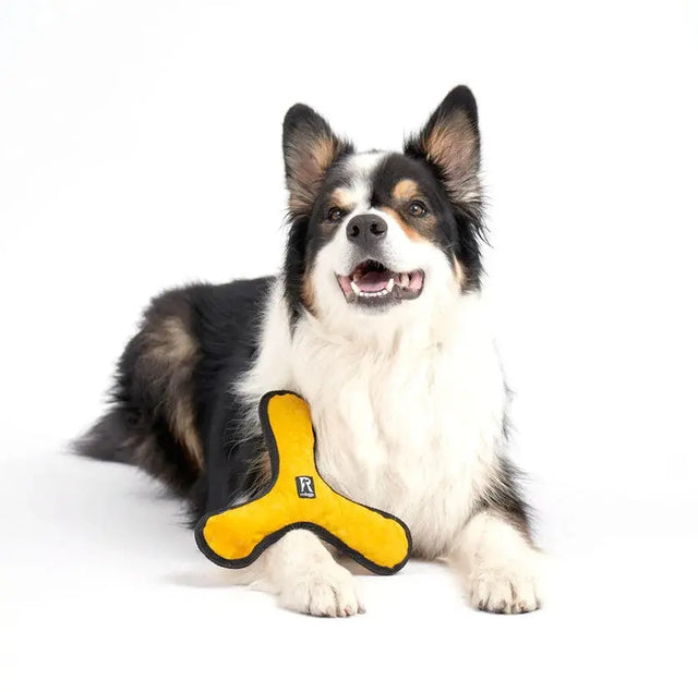 Aktivspielzeug Bumerang von Redoggo