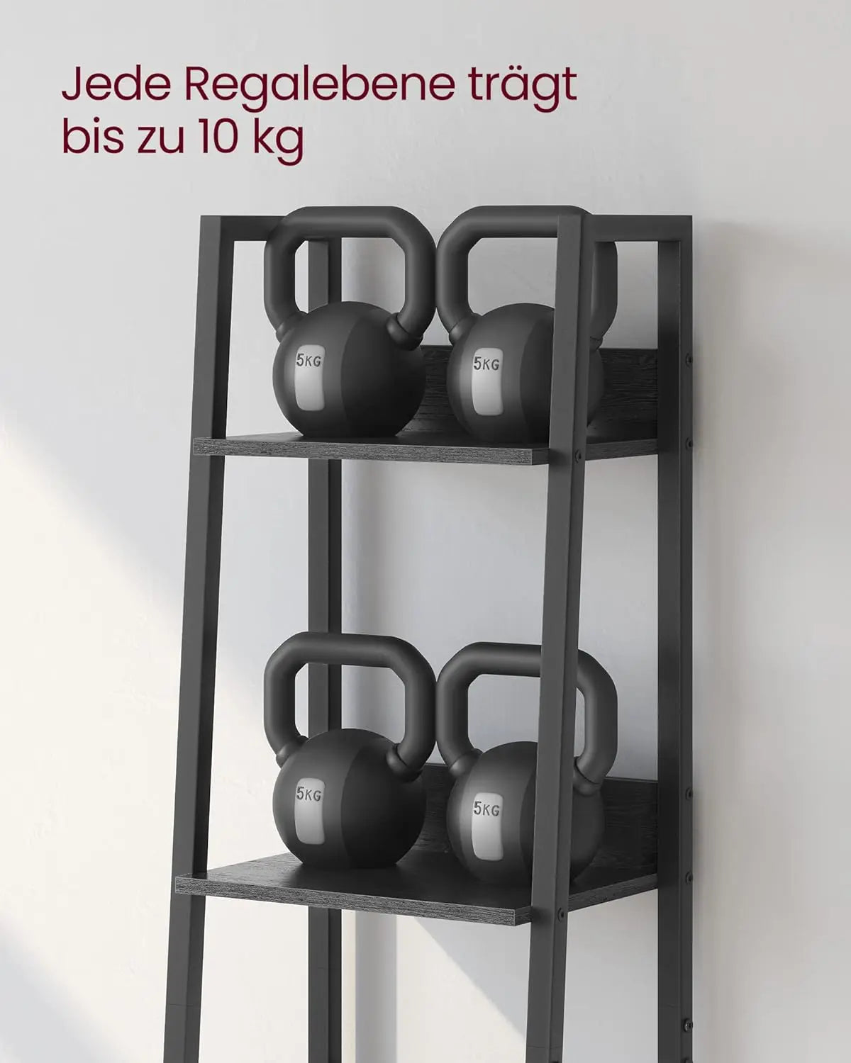 Bücherregal Leiterregal 5 Ebenen Schwarz von Songmics