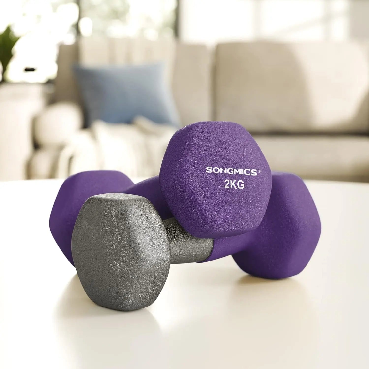 Hanteln 2x2kg Violett Gusseisen von guteszeug.ch